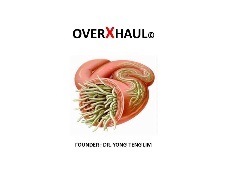 Introduction to overxhaul slide 1